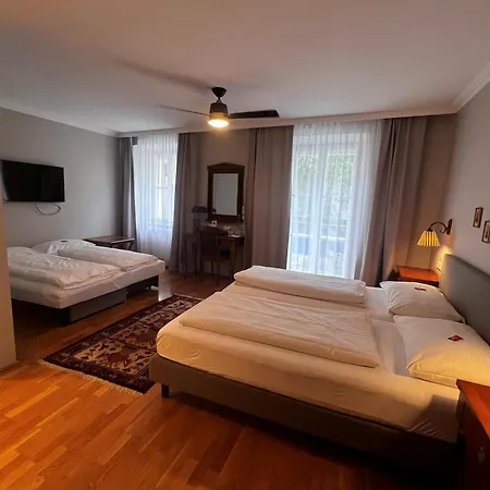Goesser Braeu Hotel 3*