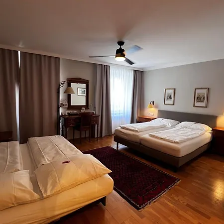 Hotel Goesser Braeu 3*