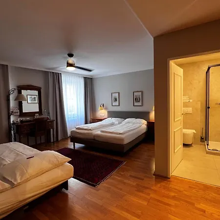 Hotel Goesser Braeu 3*