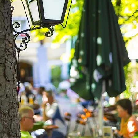 Hotel Goesser Braeu 3*