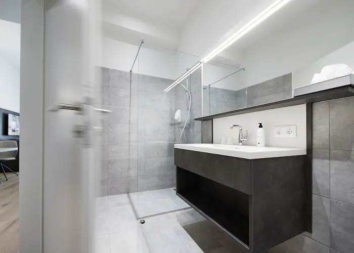 Hotel Hotel Goesser Braeu Wels