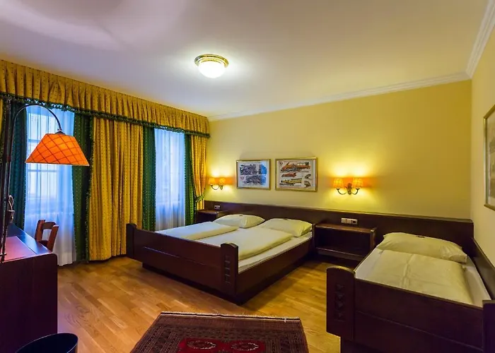 Ξενοδοχείο Hotel Goesser Braeu Βελς